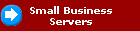 Small Business
 Servers