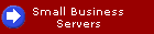 Small Business
 Servers
